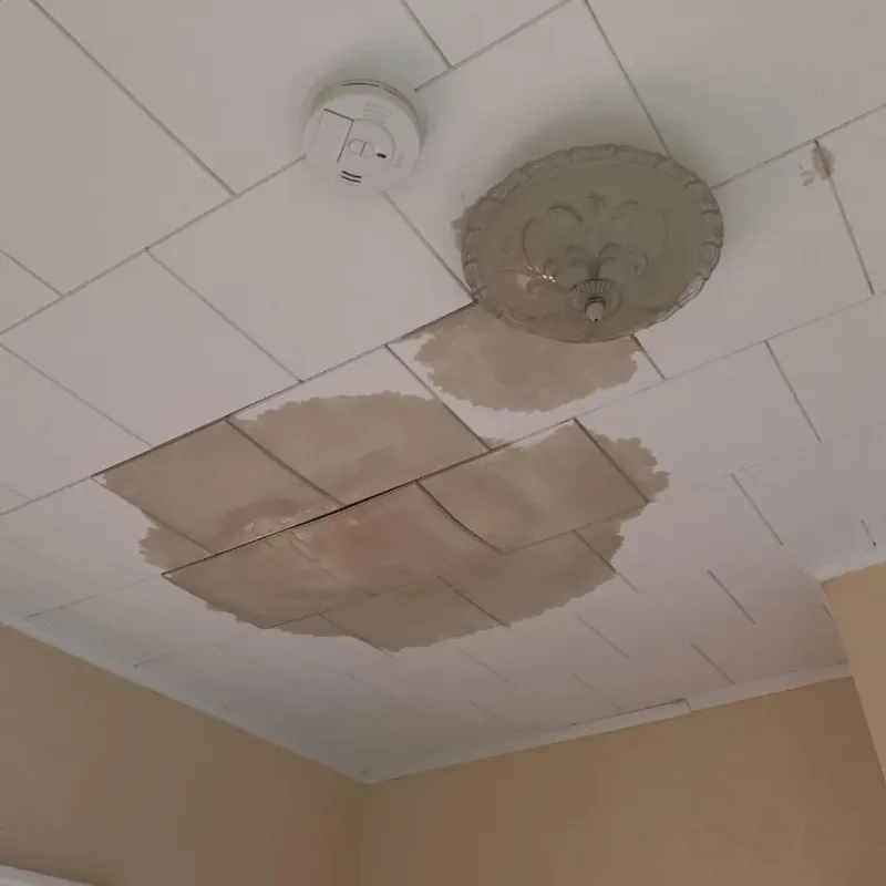 Ceiling Water Damage Repair in Mack, OH
