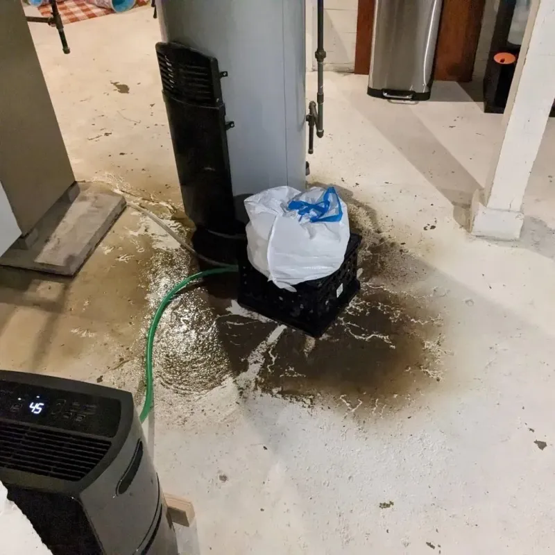Sewage Backup Cleanup Service in Mack, OH